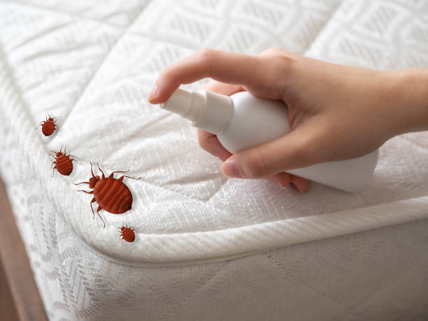 Best Pest Prevention Services  in Tton, IL